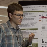 Public/Eukaryon/Volume 21/Images/vol21_Fede_Img.jpg