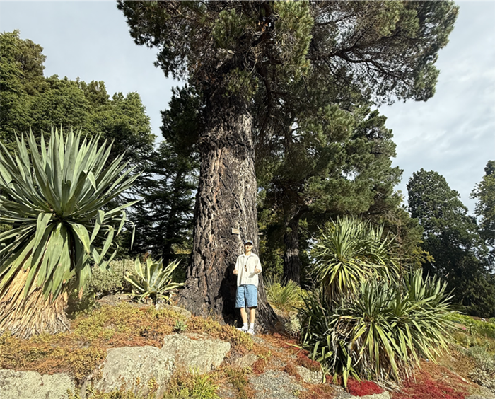 Corey in front of a montrerey pine at the botanical garden