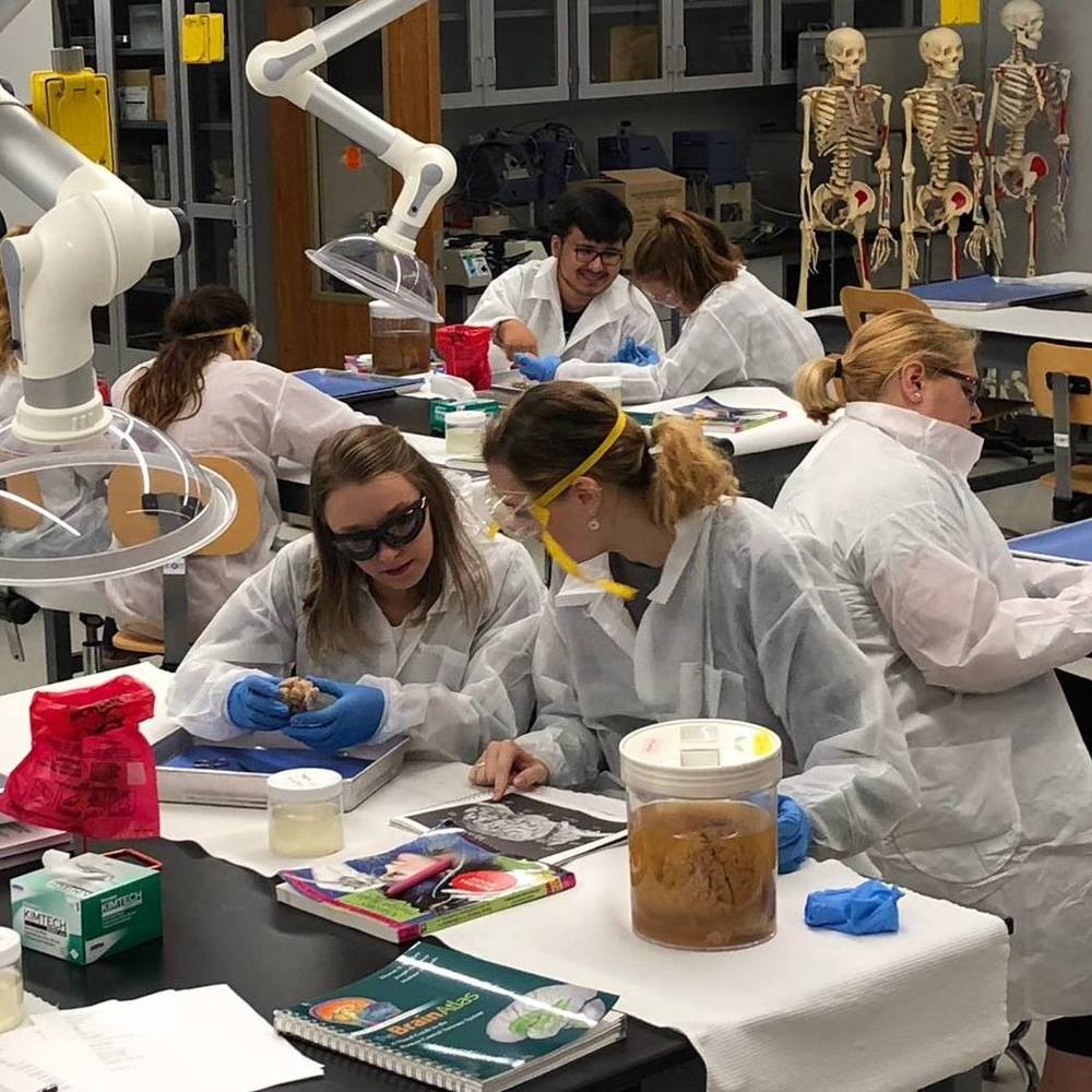 Students conducting a lab