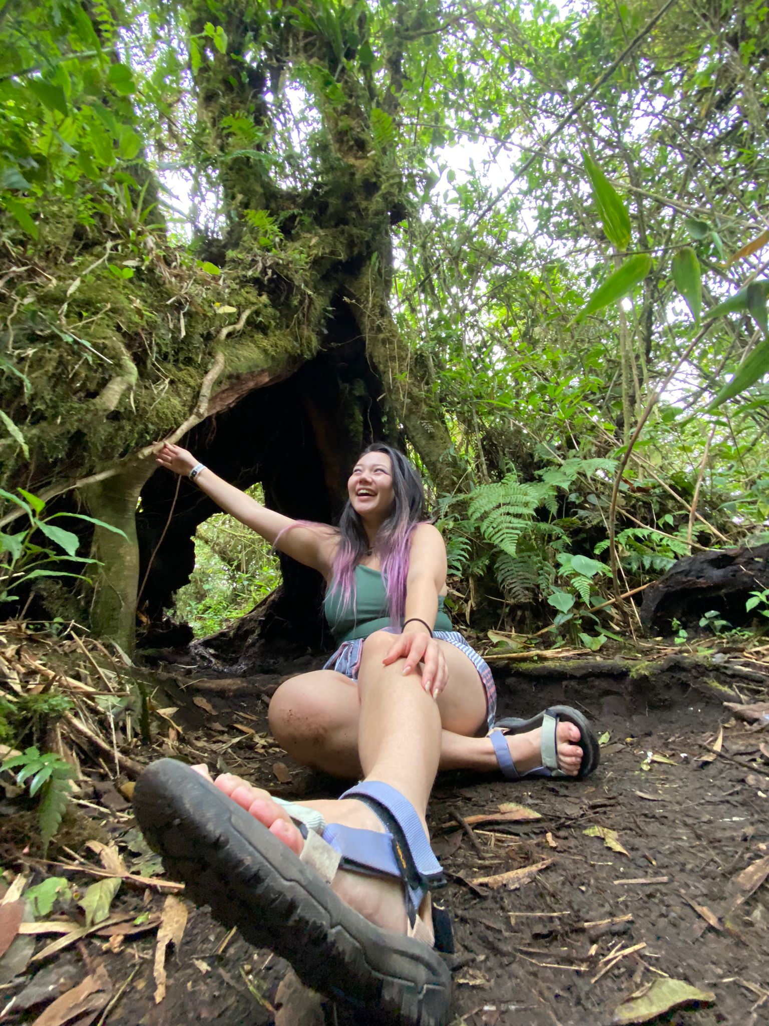adventuring in monteverde cloud rain forest