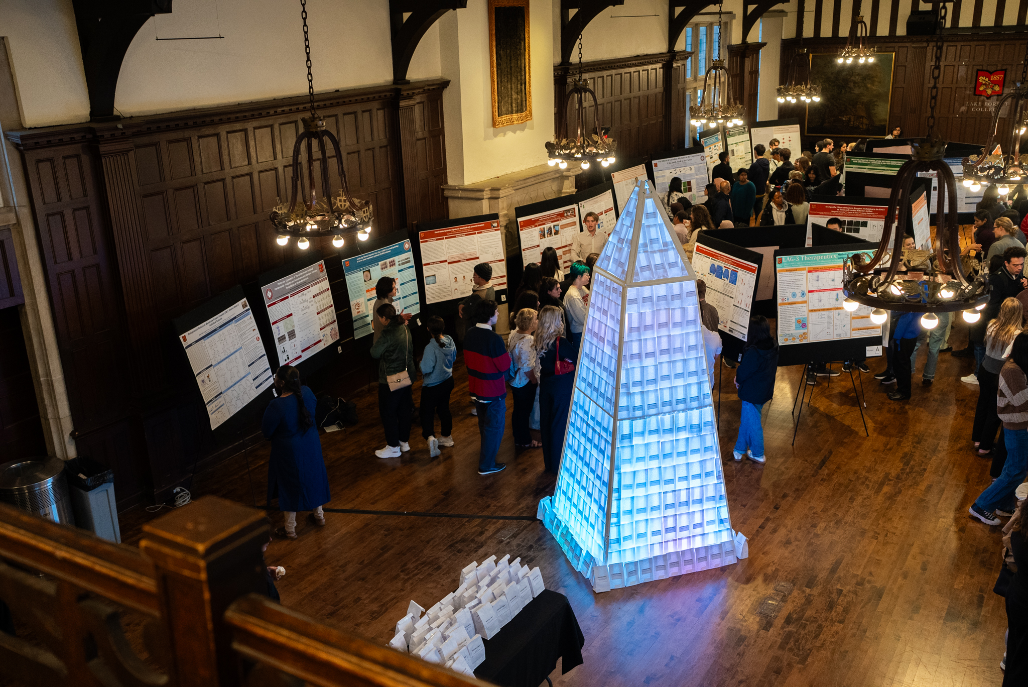 overhead shot of poster session