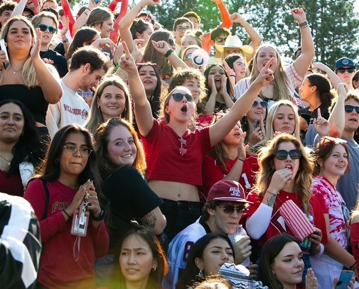 crowd in football stands