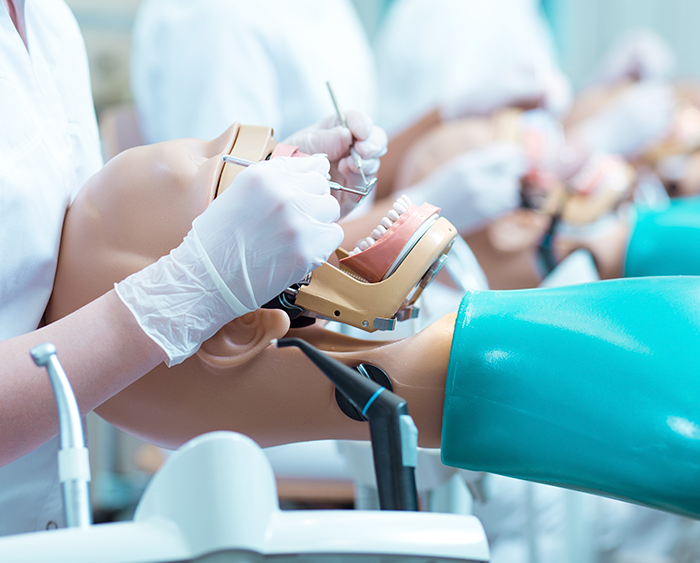 Person practicing dental skills on dummy