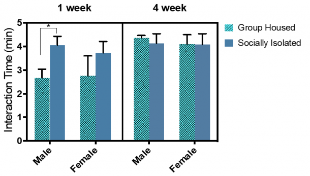 Effects Of Prolonged Social Isolation Sex Differences In Anxiety