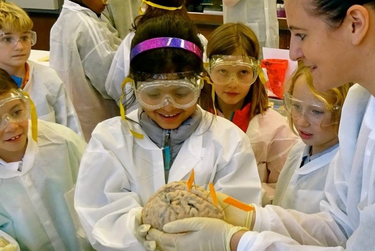 Neuroscience students showing brain samples to young students