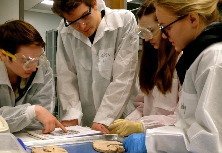 Neuroscience students with brain samples